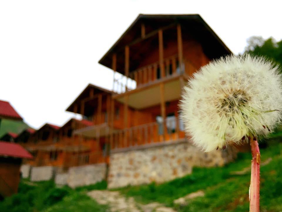 Zitas Zigana Yayla Tatil Koyu Macka Exterior photo